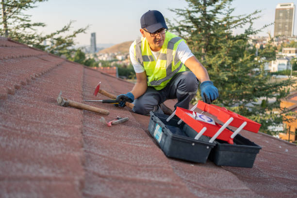 Siding Installation & Repair